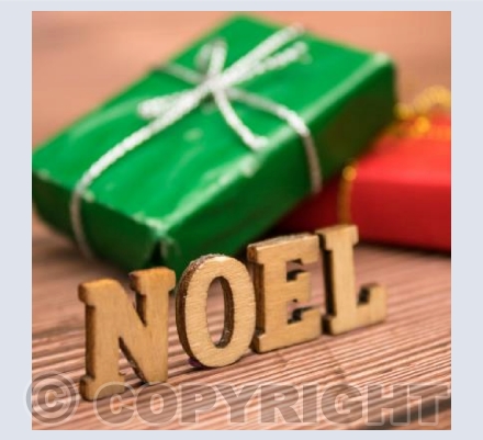 Noel