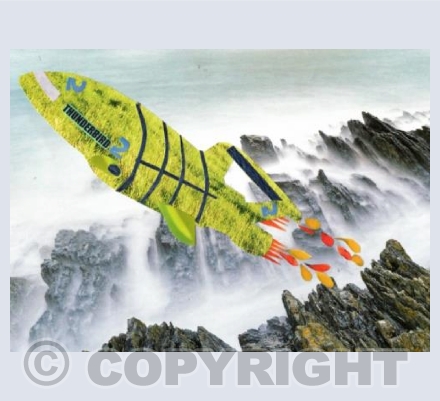 Happy Thunder Birthday