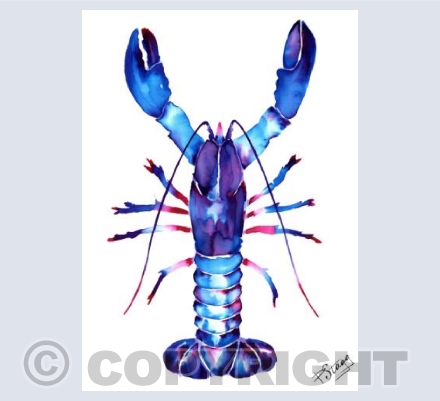 Lobster