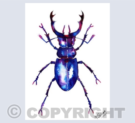 Purple Stag Beetle 