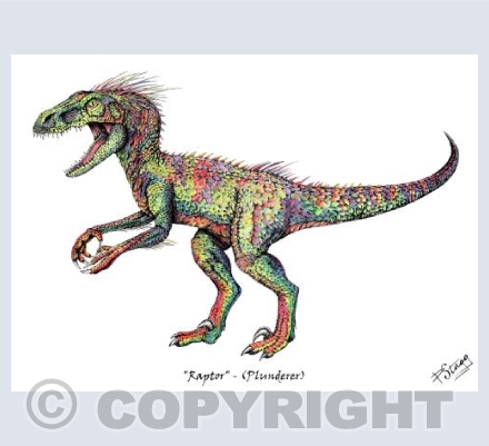 Raptor