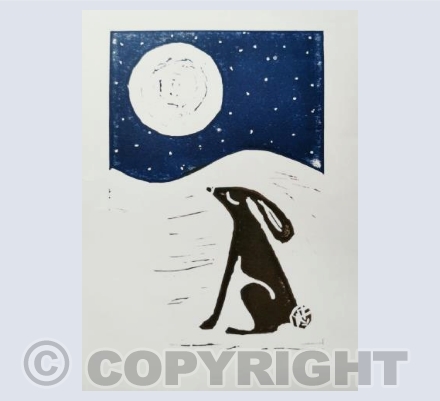 Hare Under a Starry Moonlit Sky