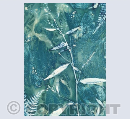 Tales From The Hedgerow I