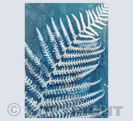 Tales From The Hedgerow IV