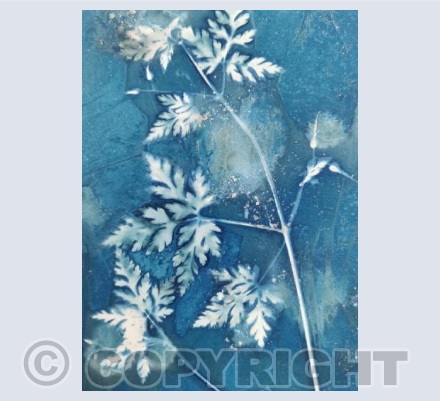 Tales From The Hedgerow VI