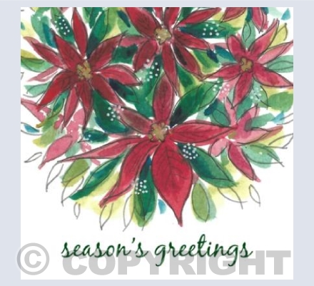 Poinsettias 20