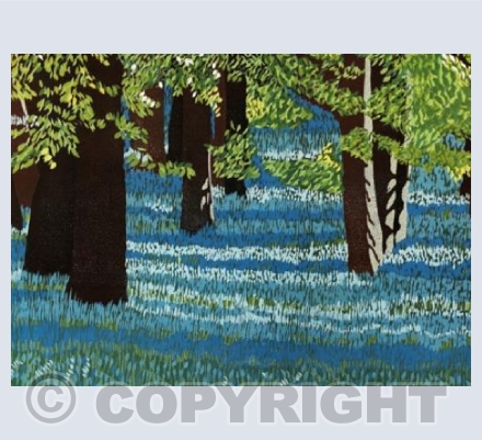 Bluebell Woods