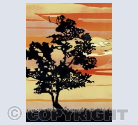 Sunset Tree