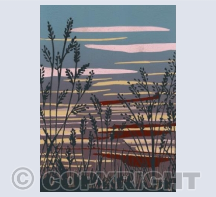 Sunset Grasses