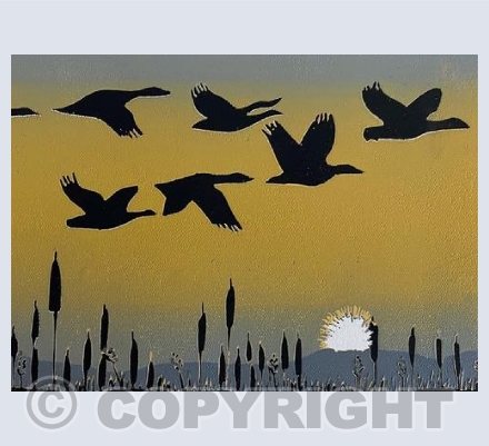 Migration II