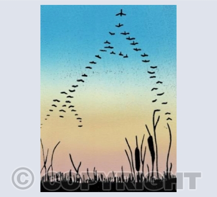 Migration