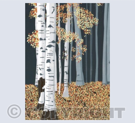 Autumn Birches 3