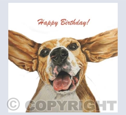 Happy Birthday Dog