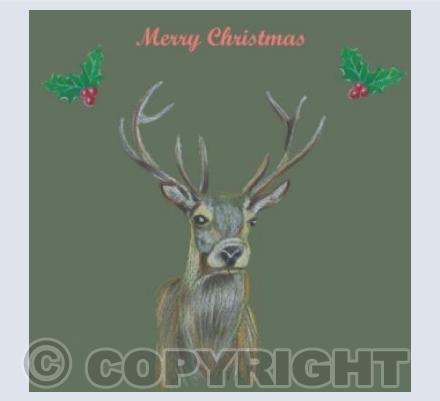 Christmas Stag