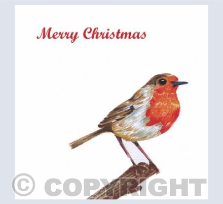 Christmas Robin