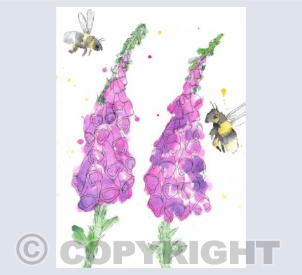 'Foxgloves & Bees'