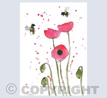 'Poppies & Bees'
