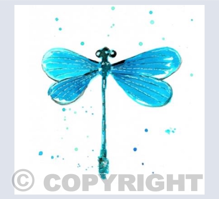 'Dragonfly'