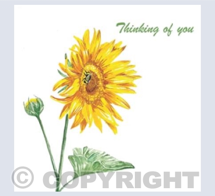 Thinking of You Sunflower