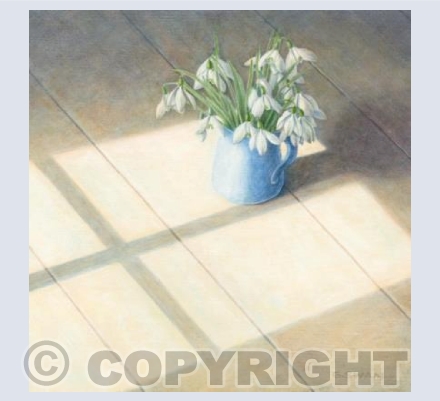 Snowdrops, Evening Light