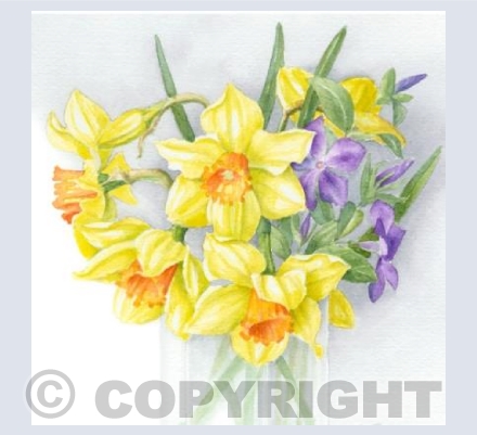 Golden Daffodils