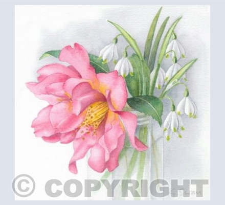 Camellia and Snowflakes