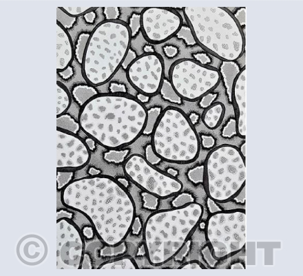 Cells