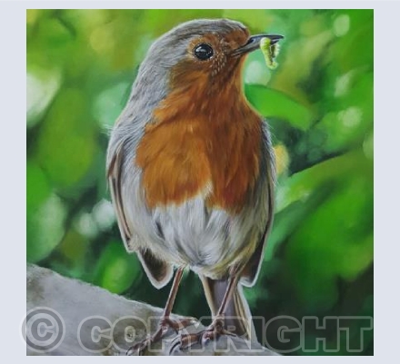 Spring Robin and Grub