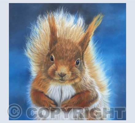 Cheerful Squirrel