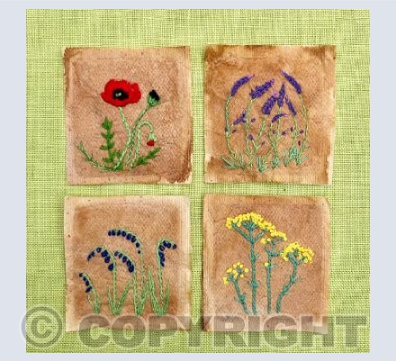 Meadow flowers