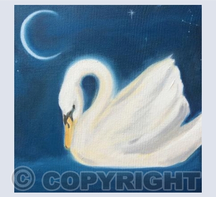 Swan