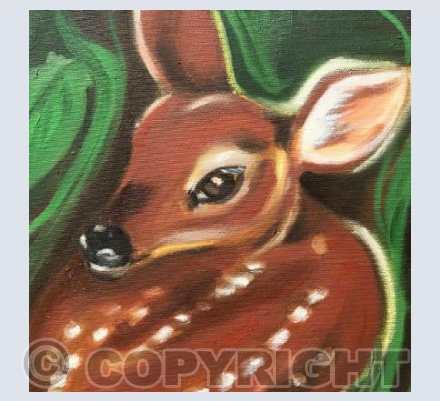 Fawn