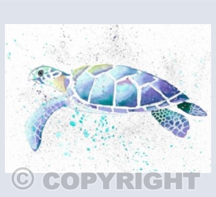 Turtle time