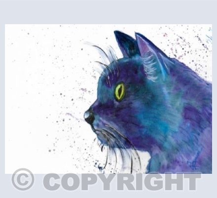 Blue and Purple cat