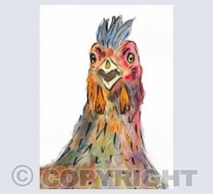 Chicken