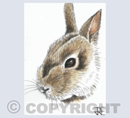 Bunny