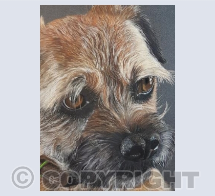 Terrier