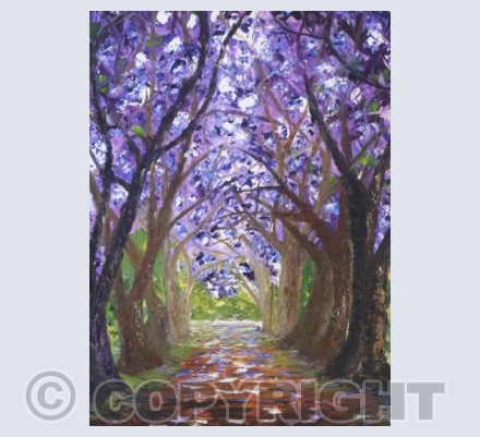 Jacaranda Trees 