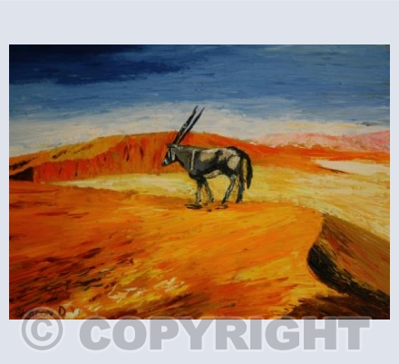 Namibia Desert