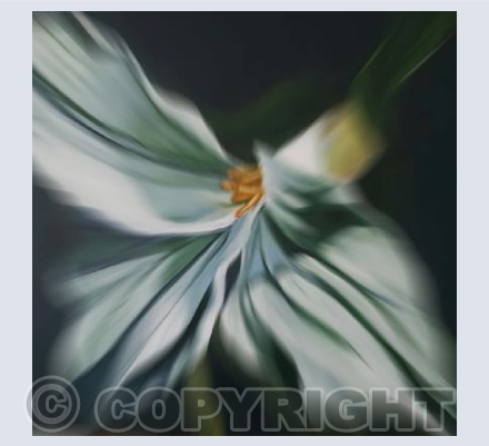 "Flower"