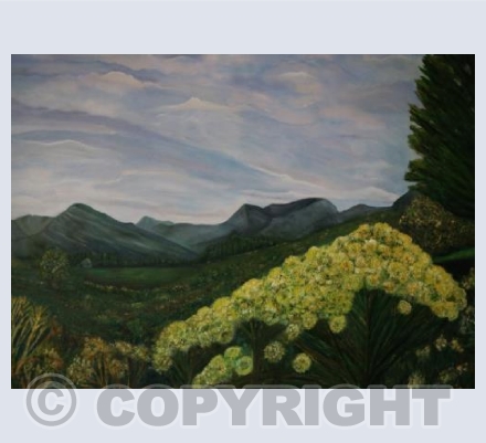 "Swart Berg"  South Africa 