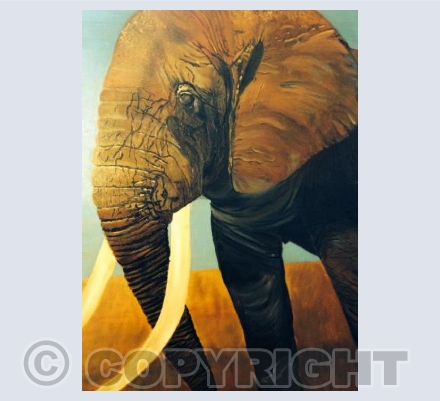 Elephant