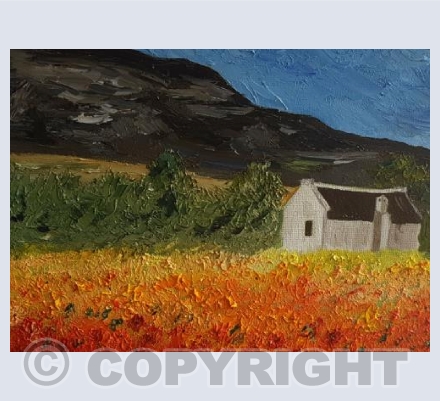 House in the field