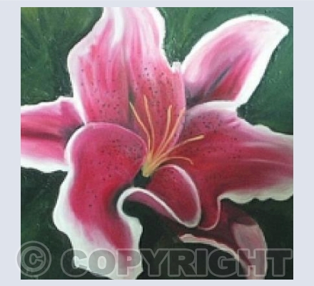 Lily
