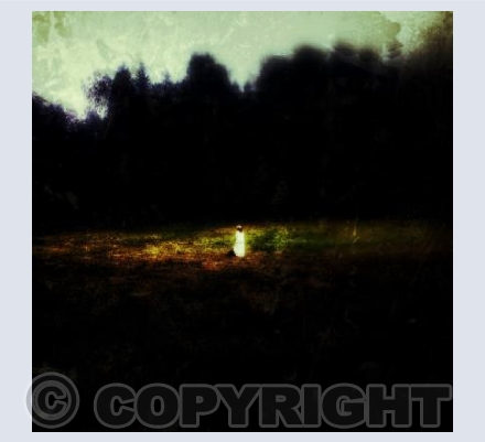 At the Woods 