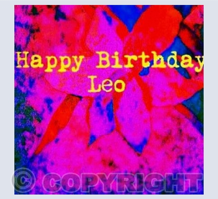 Leo Starsign 