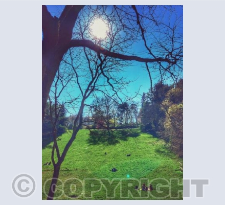 Luxembourg Grund scene 7