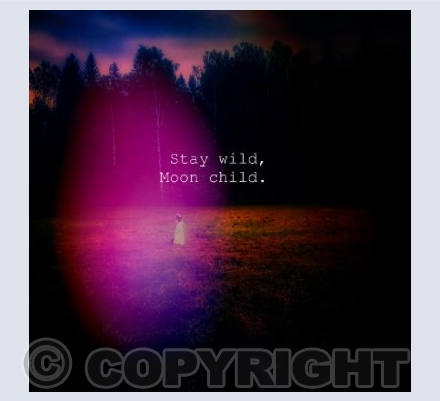 Wild Child 