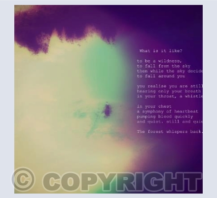 Wildness