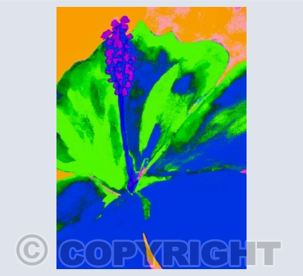 lily in green and blue 